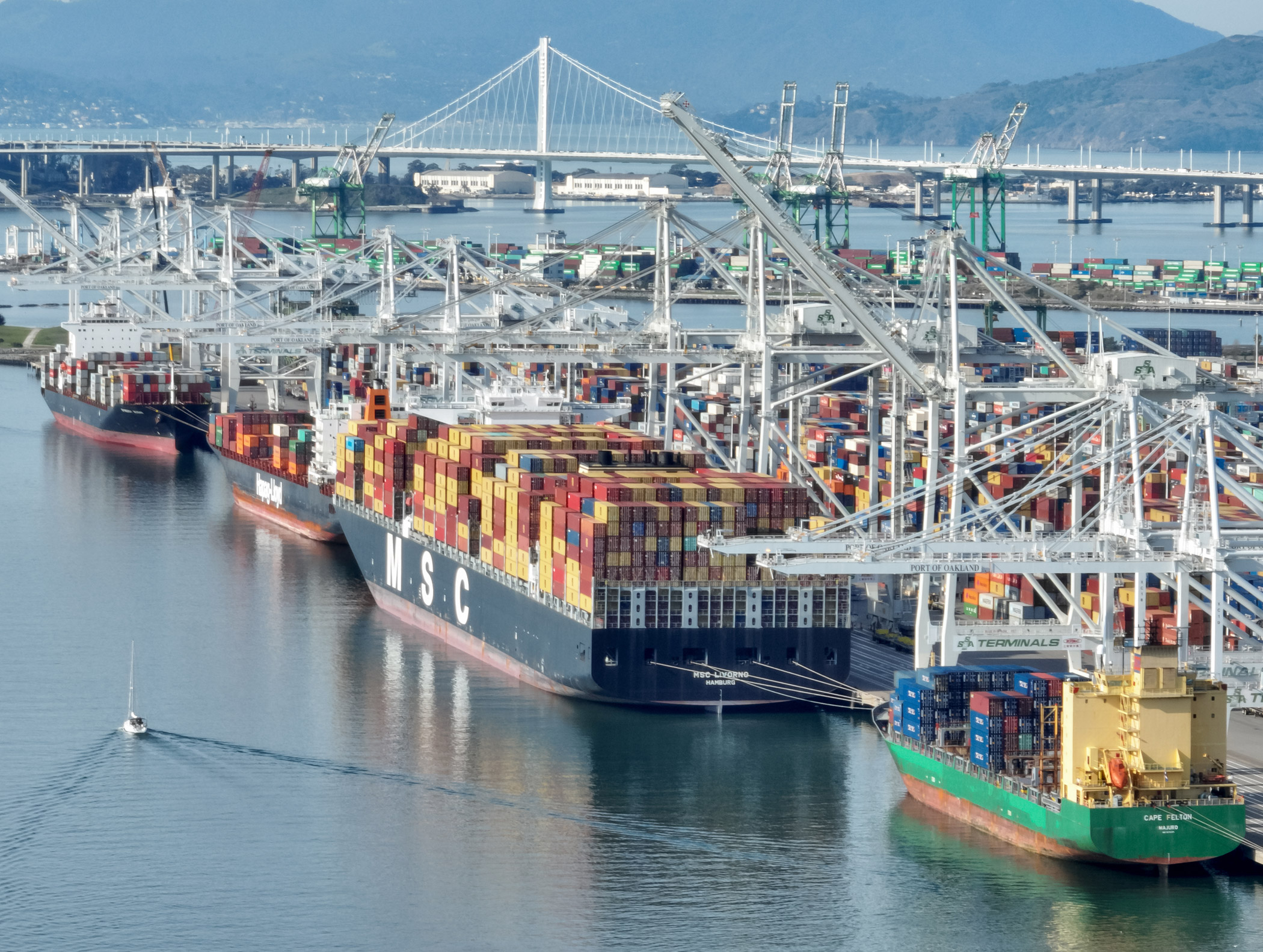 2-CMS-Bloom-International