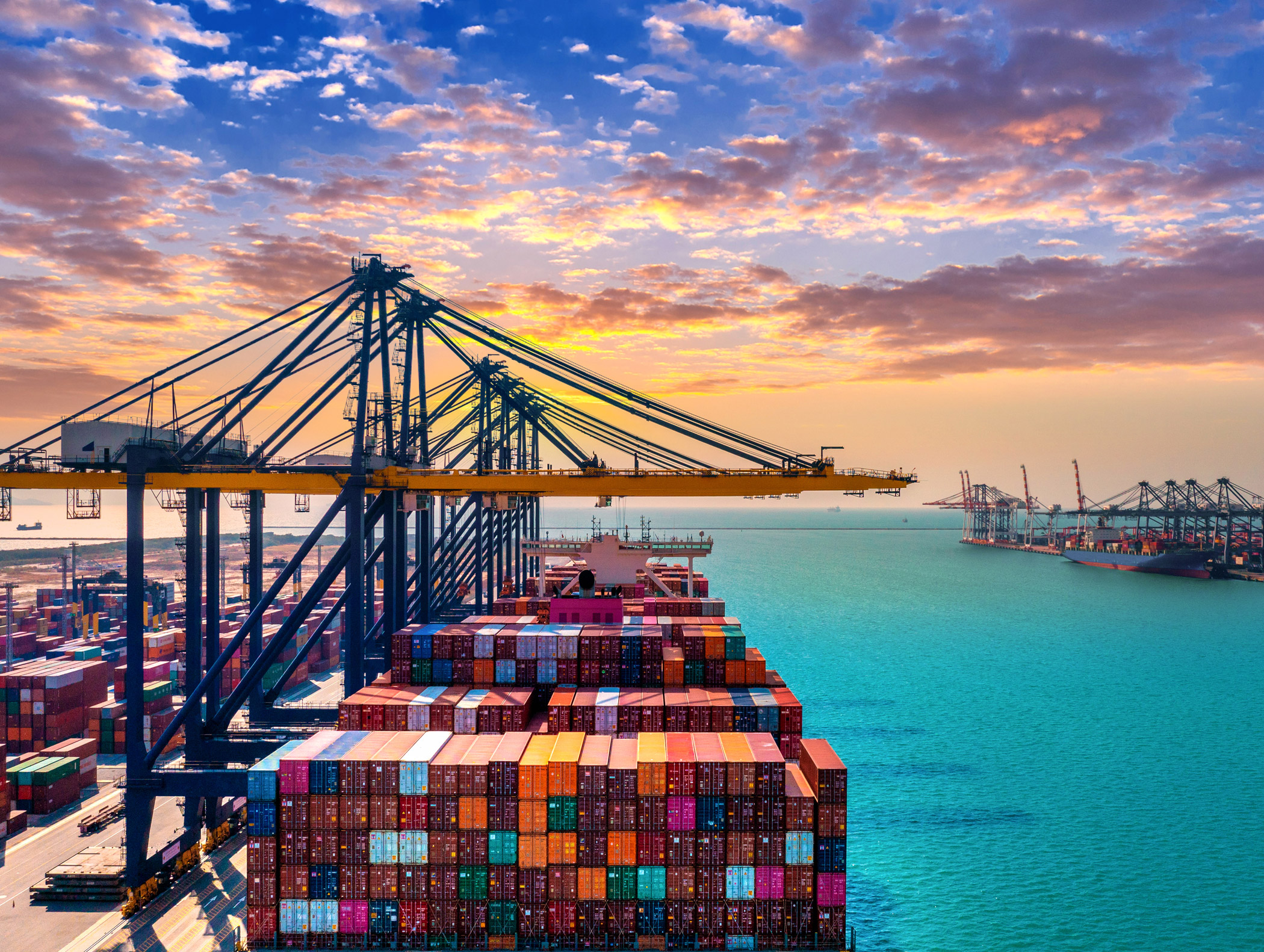 3-CMS-Bloom-International